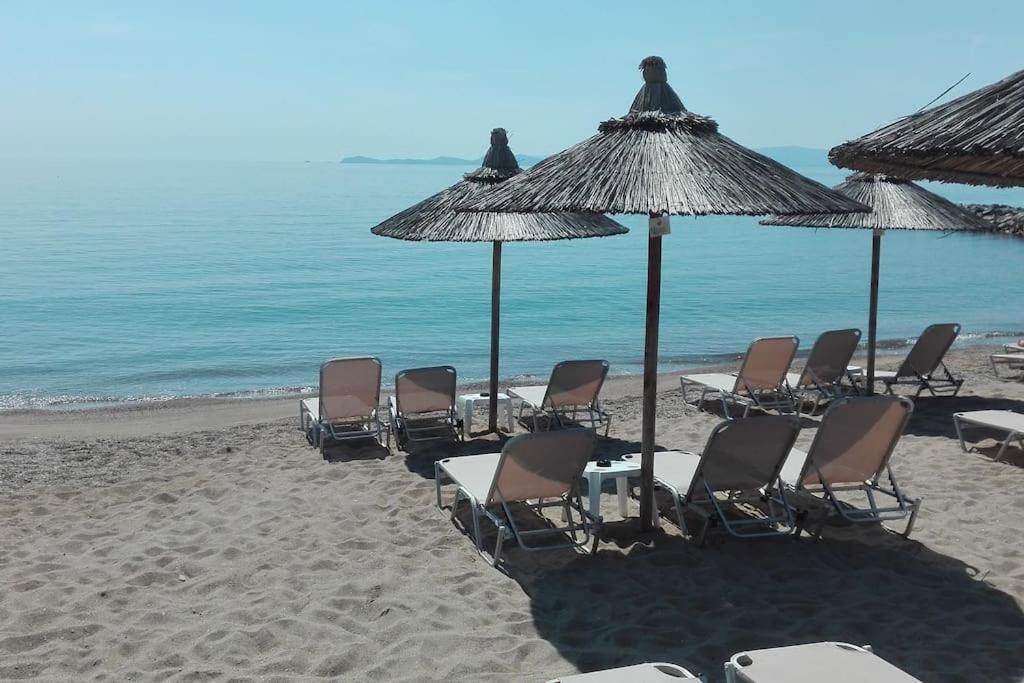 Cosy House Stratoni Chalkidiki 300M From Beach Exteriör bild